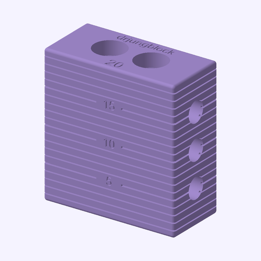 Jungblock 20 mm — angled preview rendered from the downloadable STL, showing the top and side holes