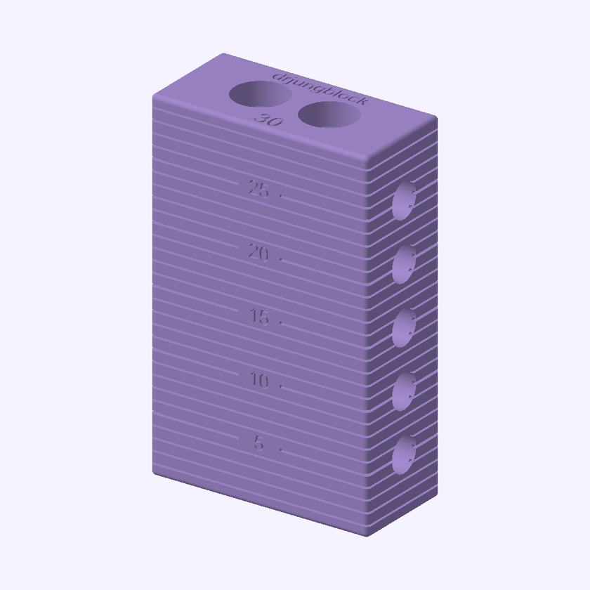 Jungblock 30 mm — angled preview rendered from the downloadable STL, showing the top and side holes